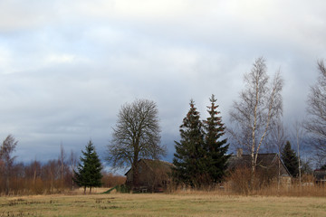 Obraz premium trees and old country houses
