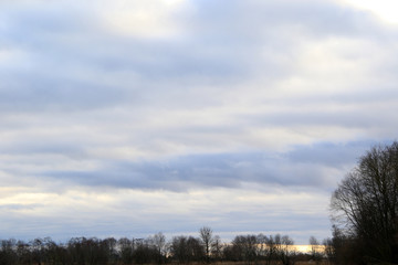 Fototapeta na wymiar cloudy sky and empty trees
