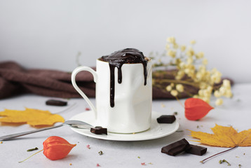 Chocolate microwave mug cake