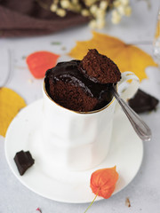 Chocolate microwave mug cake