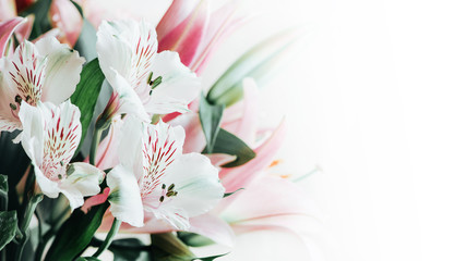 Bouquet of white alstromeria flowers and pink lilies close-up on a white background. Floral spring background with free space for text, copy space. Composition with beautiful blooming flowers.