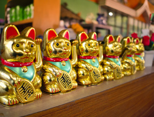 Row of Japanese Lucky Cat or Maneki Neko, Japanese and Chinese Golden Cat dools brings good luck.