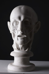 mannequin head with darkened half of the face