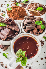 Different conditions of cocoa. Various cocoa - beans, beans, ground, crushed cocoa powder, chocolate paste, chocolate pieces and hot chocolate in a cup. In small bowls, white background above