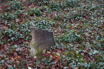 Rest eines Grabsteins auf dem Jüdischen Friedhof in der Schönhauser Allee (Berlin)