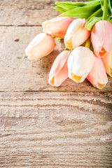 Valentine's day background with tender tulip flowers