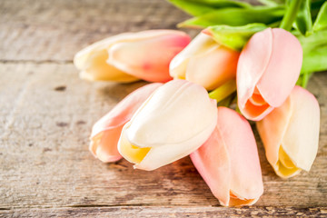 Valentine's day background with tender tulip flowers