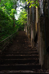 abandoned dark public park