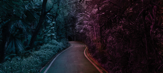 Mysterious park walk path in red and bue tone