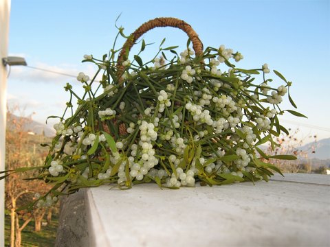 รูปภาพVischio เลือกดูภาพถ่ายสต็อก เวกเตอร์ และวิดีโอ1,036 Adobe Stock