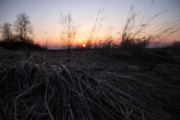 frosty sunset in early spring in the countryside in a field with last year's grass