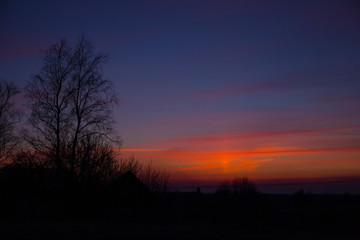 frosty sunset in early spring in the countryside against the silhouettes of trees