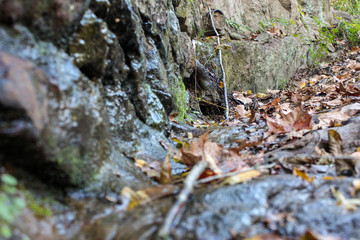 water through rock