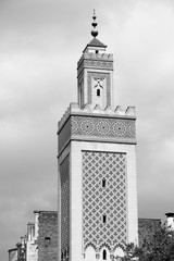 Fototapeta premium Paris Mosque. Black and white vintage toned image.