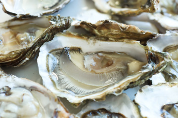 Fresh delicious opened oysters on the white plate, close-up