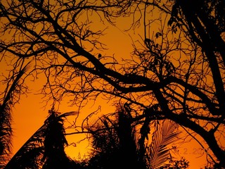 ATARDECER 