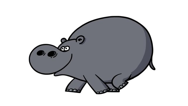 Cartoon hippopotamus walking cycle. Alpha channel included. Cute 2d hand made African grey animal character animation good for any use. 