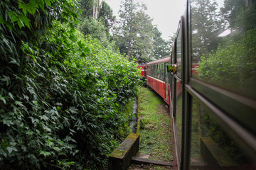 Alishan,taiwan-October 14,2018:Red train run in foggy day at alishan line on alishan mountain,taiwan.