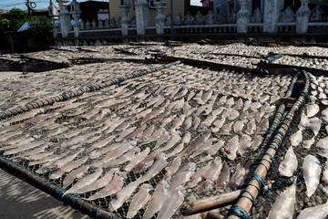 The image of many dried fish in Thailand is a means of preserving food.
