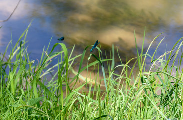 Prohodna cave, climbing on the eyes