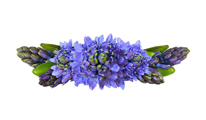 Blue hycinth flowers in a line floral arrangement