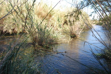 Spanish Túria River in Winter