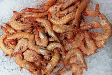 shrimp at the ice market