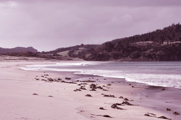 New Zealand beach. Vintage filtered colors.