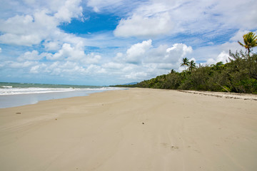 Beach Daintree Rainforest