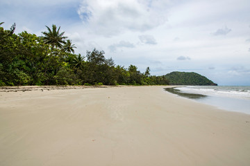 Rainforest meets the sea