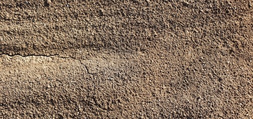 Texturas campo aceitunas