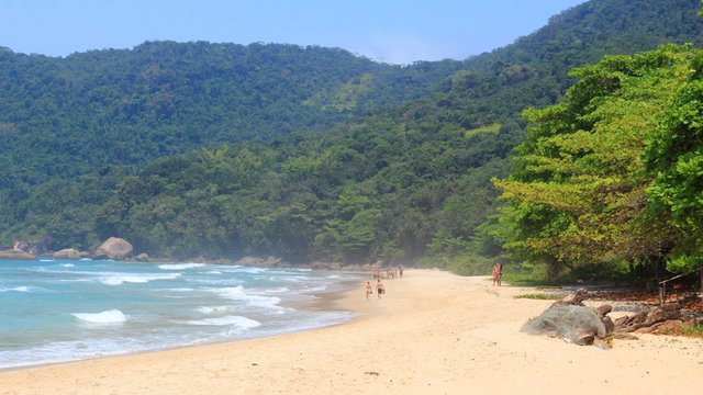 Trindade beach, Brazil. Nature of Brazil.