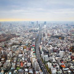 Fototapeta na wymiar Tokyo, Japan - urban skyline