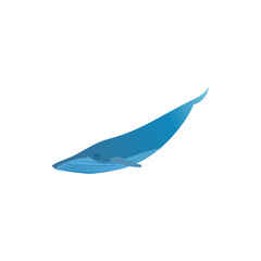 Blue whale icon isolated on white background. Vector ocean fish illustration