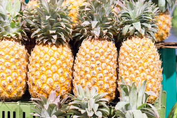 Exposition of pineapples at market