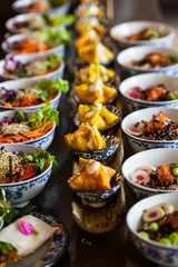 Wanton nicely placed in a row surrounded by oriental dishes
