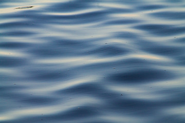 Lake. Waves of water. Ripples on the water