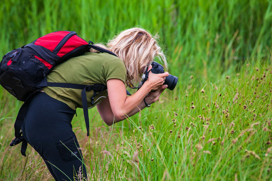 Woman photographer taking a picture of wild life