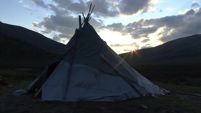 Mongolia. Darkhat basin. The camp of reindeer herders. Deer.