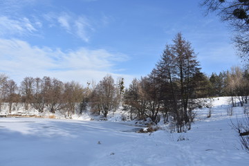 winter landscape with trees and snow