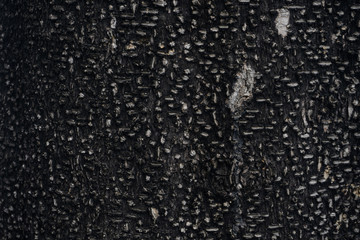 dark wood texture