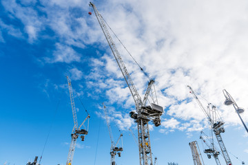 Tall cranes in a construction site on a clear autumn day