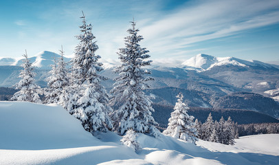 Wonderful Winter Landscape. Awesome Alpine Highlands in Sunny Day. Christmas holyday concept. Winter mountain forest. Snowy mountains and perfect blue sky. Amazing Nature background. postcard
