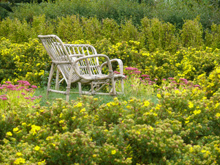 Wooden chair between yellow and pink flowers