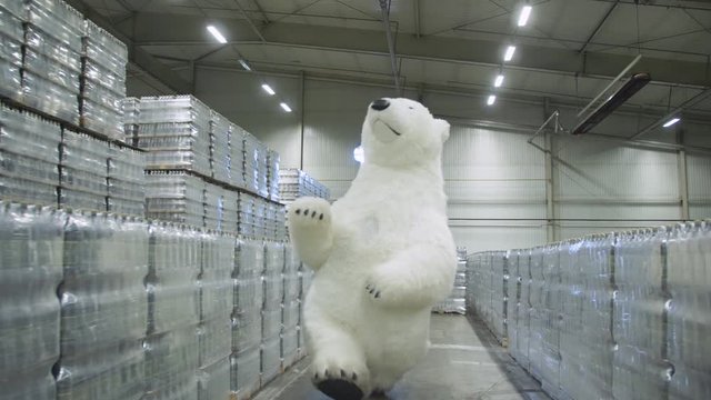 Giant puppet polar bear happily runs through the territory of a beer warehouse among a large number of crates of beer.
