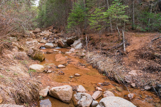 Mountain Stream In Colorado Springs Colorado In Early Spring