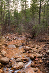 Mountain stream in Colorado Springs Colorado in early spring