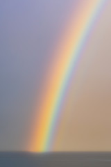 Rainbow in the Distance