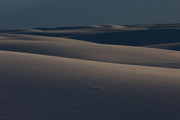 SundDune Patterns - 4761