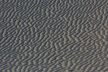 Sand Dune Pattern Texture - 4772